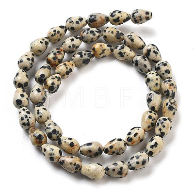 Natural Dalmatian Jasper Beads Strands G-B106-A29-01-1