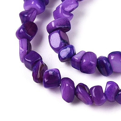 Natural Freshwater Shell Beads Strands SHEL-N037-04H-1