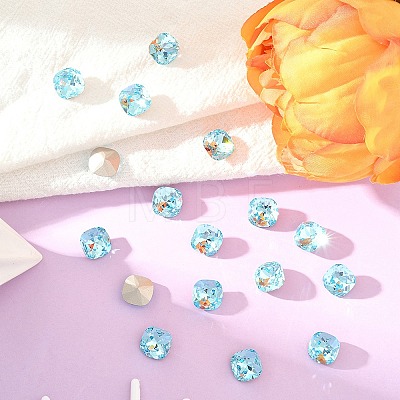 Preciosa® MAXIMA Crystal Fancy Stones Y-PRC-FC12-60010-1