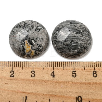 Natural Map Stone Cabochons G-C115-02A-20-1