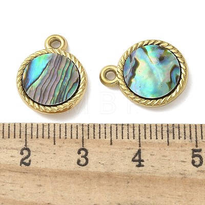 304 Stainless Steel Natural Paua Shell Pendants STAS-U037-12G-01-1