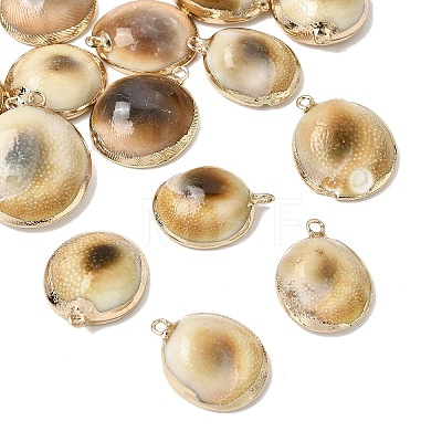 Brass & Natural Shell Pendants SH-CBA27C9-06-1