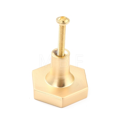 Hexagon with Grid Pattern Brass Box Handles & Knobs DIY-P054-A02-1
