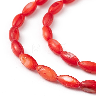 Natural Freshwater Shell Dyed Beads Strands SHEL-M018-13-05-1