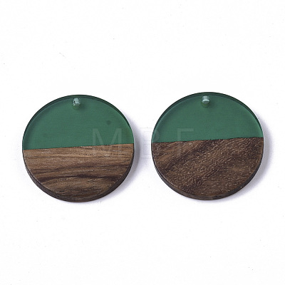 Transparent Resin & Walnut Wood Pendants RESI-S358-02B-H58-1