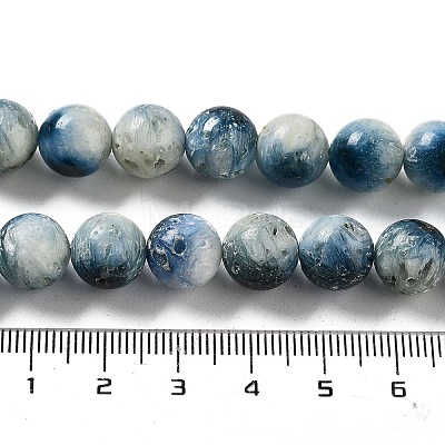 Natural Blue Ice Glacierite Stone Beads Strands G-G078-A01-03-1