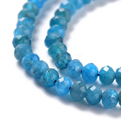 Natural Apatite Beads Strands X-G-K312-20B-1