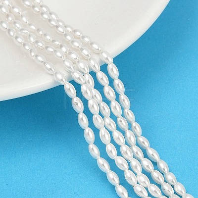 Electroplated Shell Pearl Beads Strands BSHE-Z009-10B-1