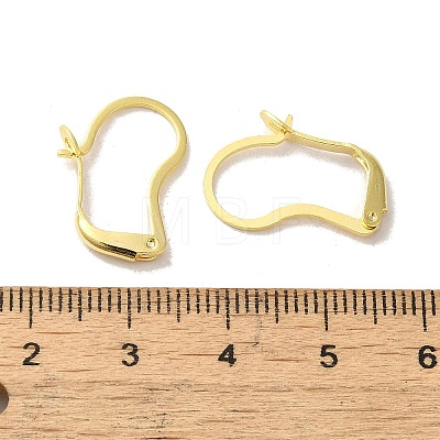 Brass Hoop Earring Findings FIND-Z039-30G-1