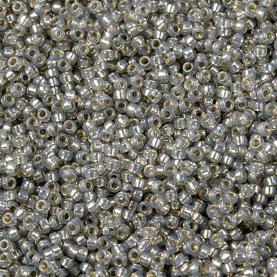MIYUKI Round Rocailles Beads X-SEED-G009-RR2356-1