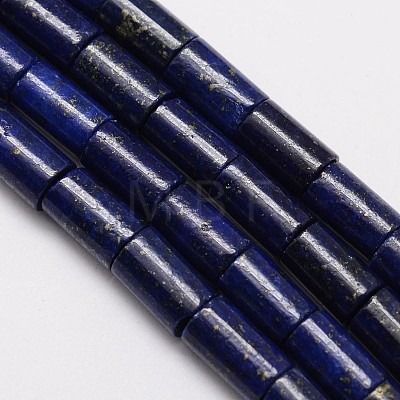 Natural Lapis Lazuli Column Bead Strands G-M264-14-1