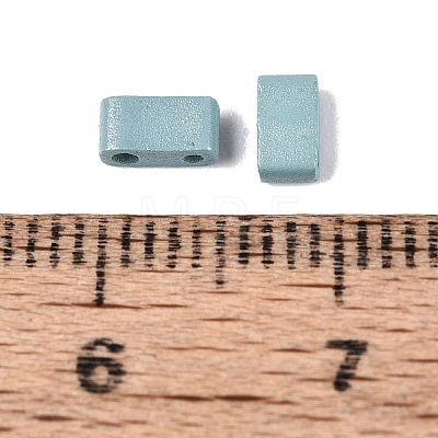 2-Hole Baking Paint Glass Seed Beads SEED-S023-17B-43-1