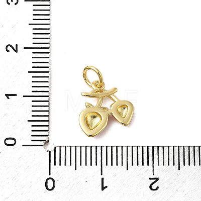 Brass Enamel Charms KK-P303-06C-G-1