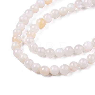 Natural Freshwater Shell Beads Strands BSHE-T009A-01B-1