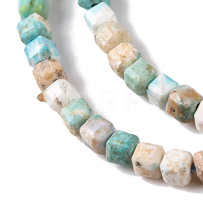 Natural Howlite Beads Strands G-H025-04A-1