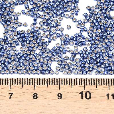 MIYUKI Delica Beads X-SEED-J020-DB2517-1