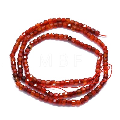 Natural Red Agate Beads Strands G-P457-B01-25-1