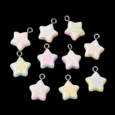 Opaque Resin Pendants RESI-B044-09P-1