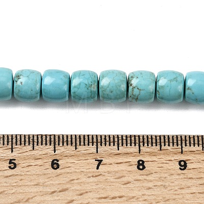 Natural Magnesite Beads Strands G-P598-C01-02A-1
