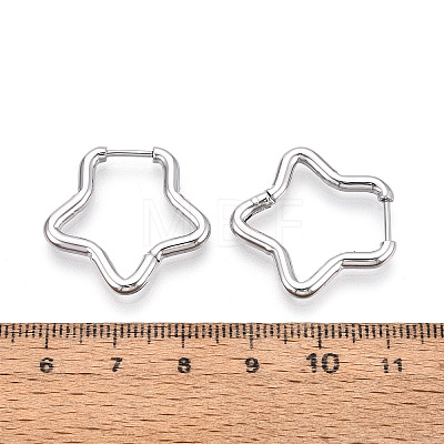 304 Stainless Steel Hoop Earrings STAS-T074-21P-1