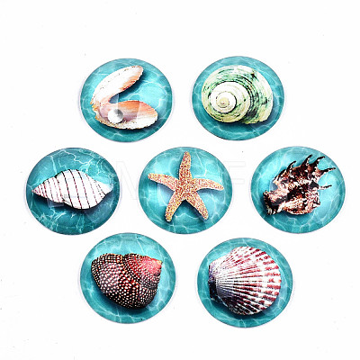 Glass Cabochons GGLA-S036-19A-1