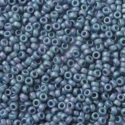 MIYUKI Round Rocailles Beads X-SEED-G009-RR2030-1