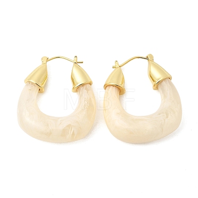 Brass Resin Hoop Earrings EJEW-P333-11D-G01-1