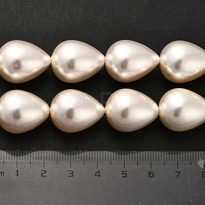 Electroplate Shell Pearl Beads Strands BSHE-G010-16x20mm-01-1