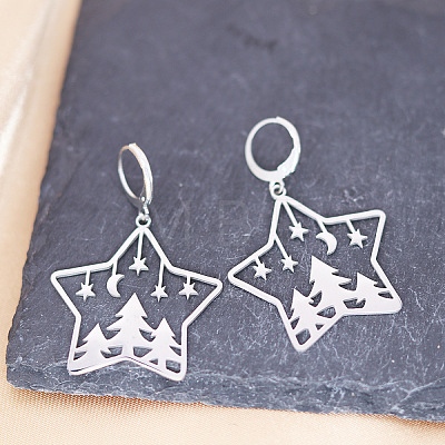 201 Stainless Steel Leverback Earrings FS-WGCA6C3-01-1