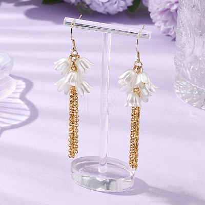 Acrylic Dangle Earrings EJEW-JE06228-01-1