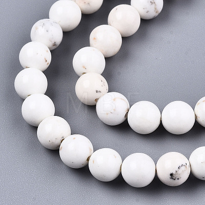 Natural Magnesite Beads Strands G-S373-003-6mm-1