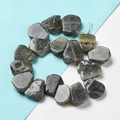 Natural Labradorite Beads Strands G-P528-K10-01-1