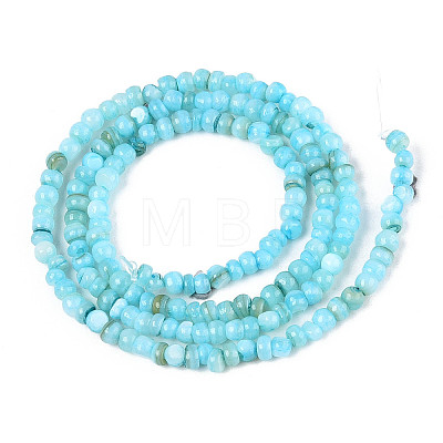 Natural Freshwater Shell Dyed Beads Strands SHEL-T020-29B-02-1