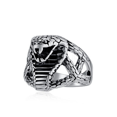 304 Stainless Steel Finger Rings for Men FS-WG0C893-04-1