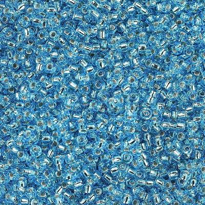 MIYUKI Round Rocailles Beads X-SEED-G007-RR2429-1