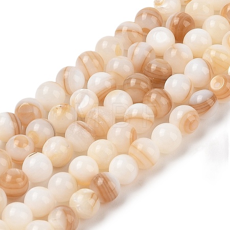 Natural Freshwater Shell Beads Strands X-SHEL-T011-02-6mm-1