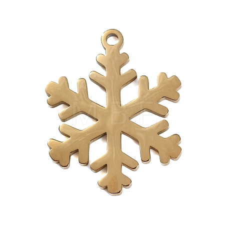 304 Stainless Steel Pendants SA-CBAE0F2-24G-1