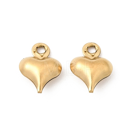 304 Stainless Steel Pendants STAS-G389-02G-06-1