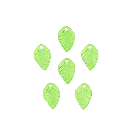 Transparent Acrylic Charms TACR-T012-04-1