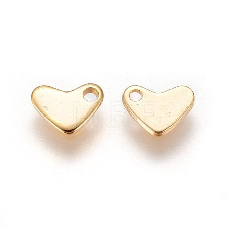 304 Stainless Steel Charms STAS-E460-08G-1