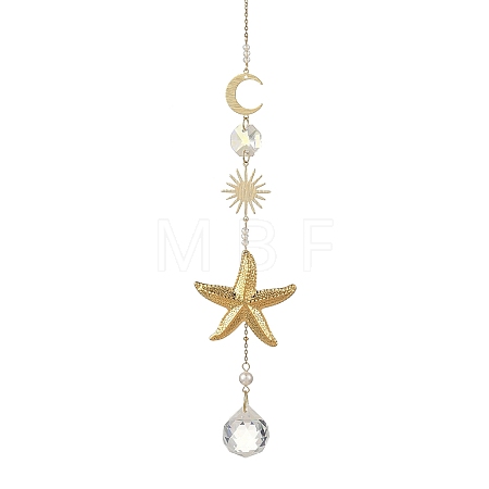 304 Stainless Steel Starfish & Round Glass Hanging Suncatchers HJEW-JM05037-1