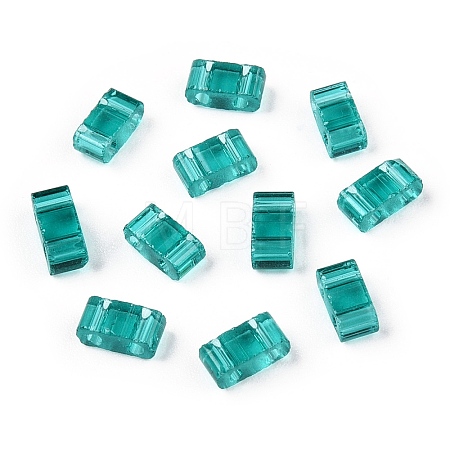 2-Hole Glass Seed Beads SEED-T003-01B-12-1