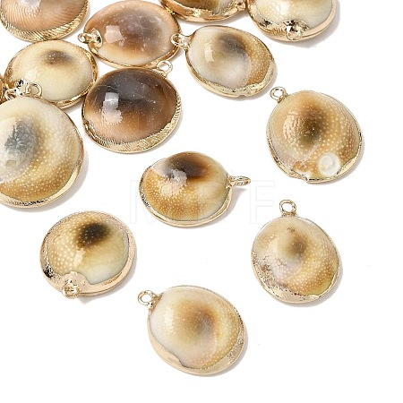 Brass & Natural Shell Pendants SH-CBA27C9-06-1
