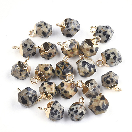Electroplate Natural Dalmatian Jasper Charms X-G-S344-08D-1