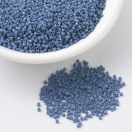 MIYUKI Delica Beads SEED-JP0008-DB2135-1