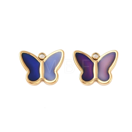 Ion Plating(IP) Temperature Color Change 304 Stainless Steel Enamel Charms STAS-P366-47G-1