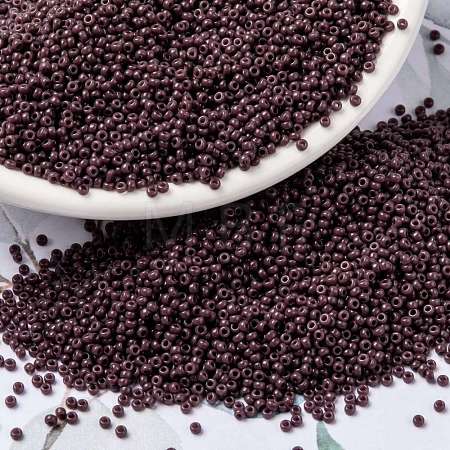 MIYUKI Round Rocailles Beads SEED-G009-RR0497-1