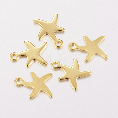 304 Stainless Steel Charms STAS-F162-40G-1