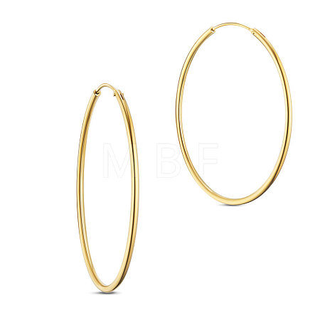 925 Sterling Silver Hoop Earrings JE670B-04-1