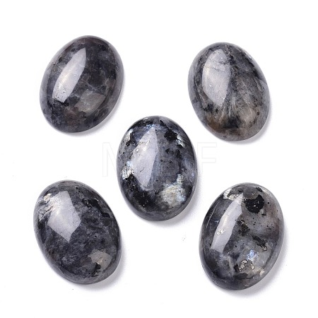 Natural Black Larvikite Cabochons G-Z020-10-1